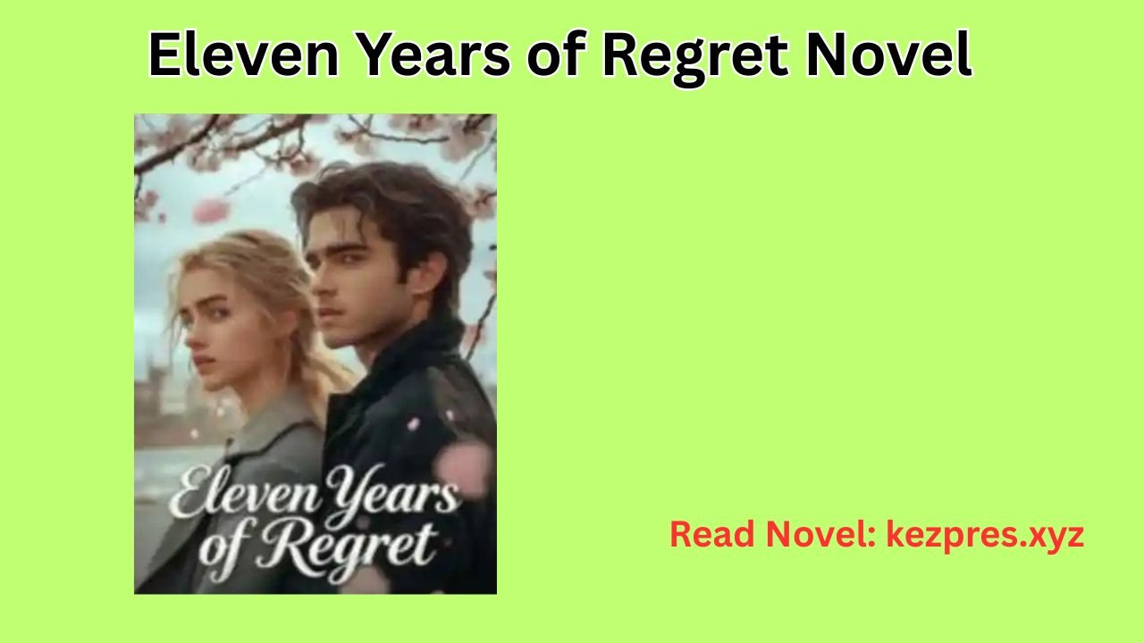 Eleven Years of Regret Novel
