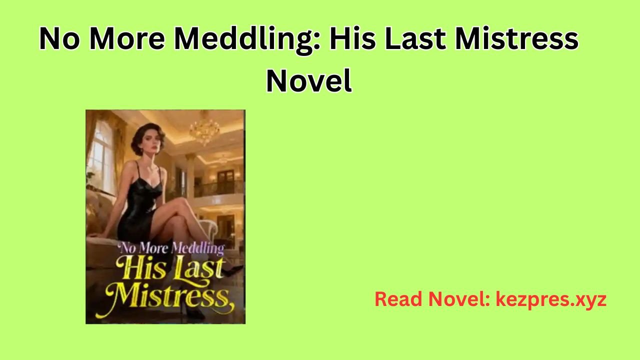 His Last Mistress Novel