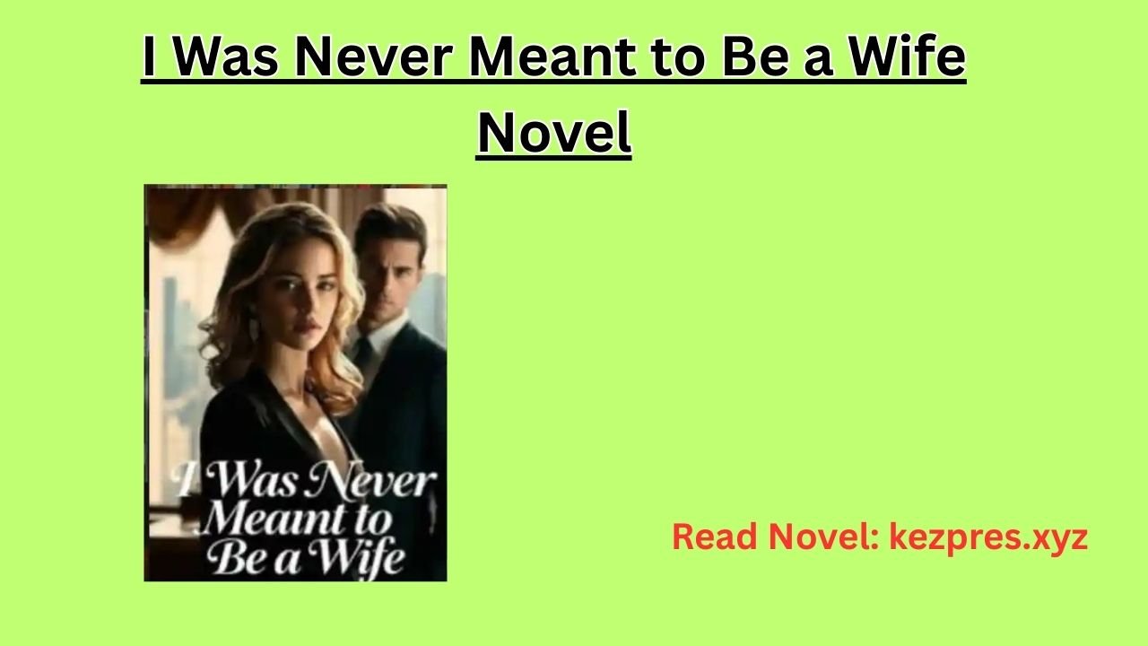 I Was Never Meant to Be a Wife Novel